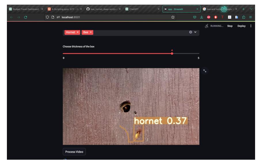 Hornet Tracking AI Mode